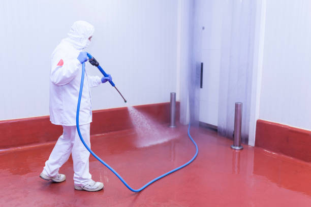 Reliable Wanamingo, MN Pressure Washing Services Solutions
