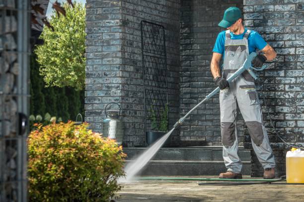Best Fleet Vehicle Washing  in Wanamingo, MN