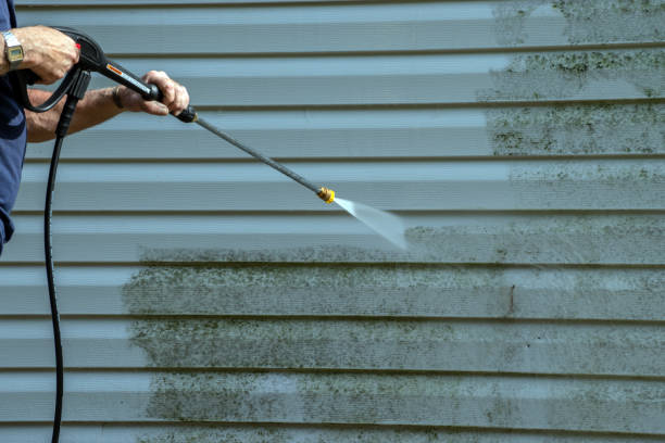 Best Driveway Pressure Washing  in Wanamingo, MN
