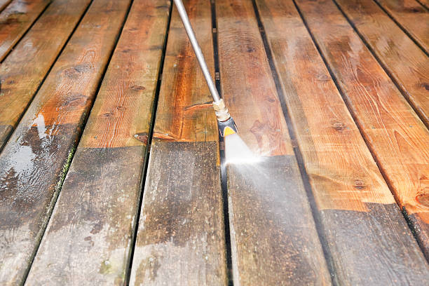 Best Pool Deck Cleaning  in Wanamingo, MN